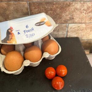 XL Eggs